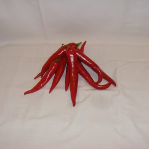 Chili paprika "közép méretű"