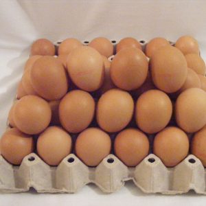 Tojás GMO mentes "M-es"