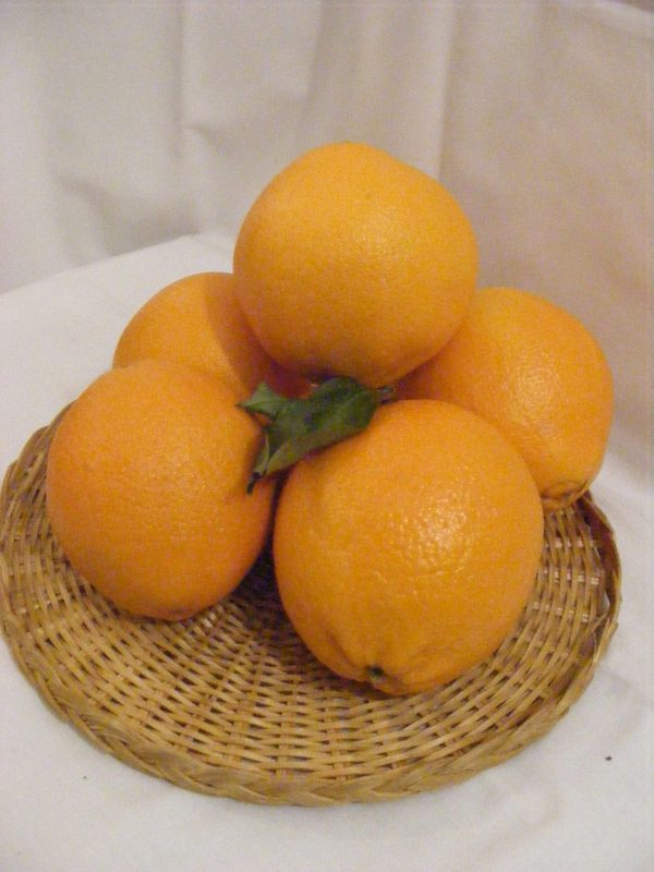 Narancs "spanyol"